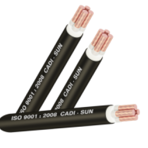 Cáp đồng 4 lõi bọc lớp cách điện XLPE 3x+1 - CXV3x+1