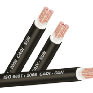 Cáp đồng đôi bọc lớp cách điện XLPE 3x- CXV3x