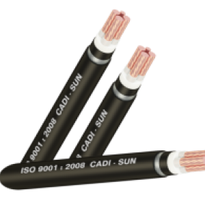 Cáp đồng ngầm 4 lõi DTSA3x+1