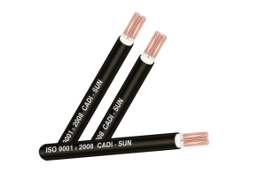 Cáp đồng đôi bọc lớp cách điện XLPE - CXV2x