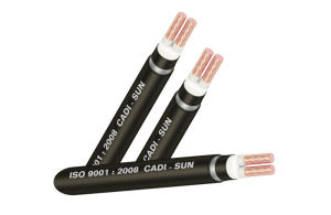 Cáp đồng ngầm 2 lõi DTSA2x