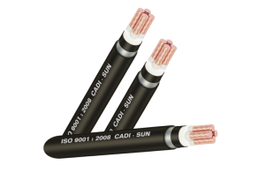 Cáp đồng ngầm 4 lõi DTSA4x